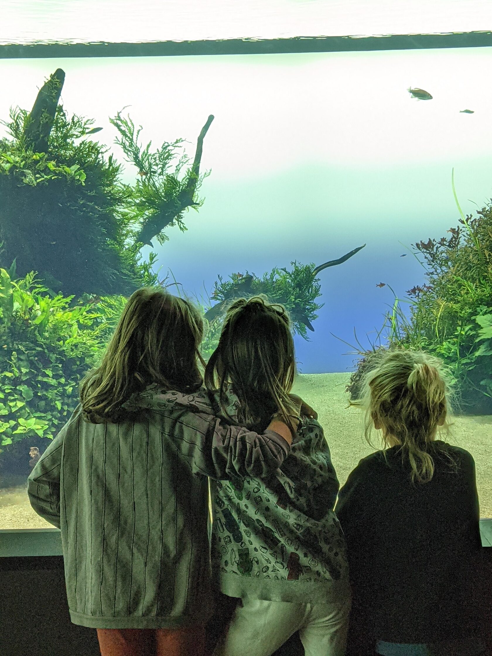 Familia viajando juntos